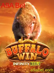 Descubra as Regras e Como Jogar BuffaloWin com A9A Bet